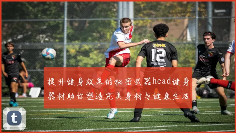 提升健身效果的秘密武器head健身器材助你塑造完美身材与健康生活