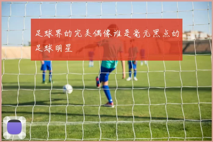 足球界的完美偶像谁是毫无黑点的足球明星